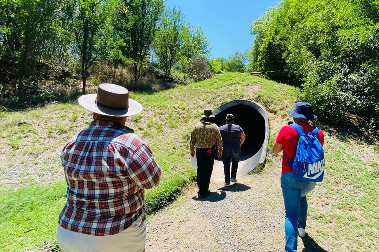 Tour &quot;Bioparque Estrella&quot;, com traslado, safári e ingressosMonterrey: Aventura de safári no Bioparque Estrella