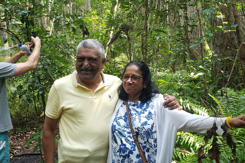 Zanzibar: Jozani forest, Butterfly center & Salaam cave tour Tour with Hotel pick up and drop off included