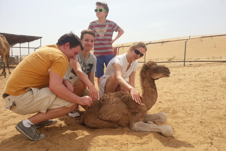 Dubai: Quad-Fahrt durch die Dünen, Kamele und Sand BoardingDubai: Quad-Fahrt durch die Dünen, Kamele und Sandboarding