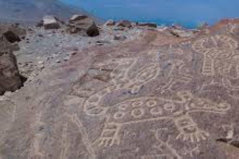 Besök Petroglyphs of Dead Bull och Querullpa