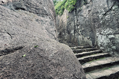 From Colombo: Gampaha District Temples & Jungle Hike Tour