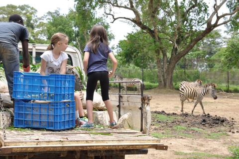 UGANDA SANCTUARY SOJURN: Upplev naturvårdsresan