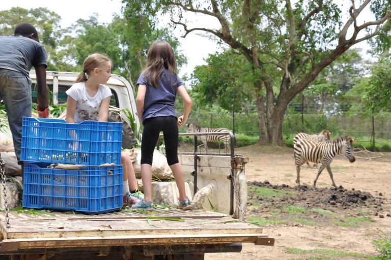 UGANDA SANCTUARY SOJURN: Beleef de reis van de natuurbescherming