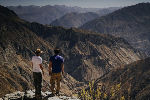 Depuis Arequipa : Excursion au Canyon de Colca 2D 1N à Chivay