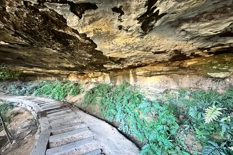 Blue Mountains: Overcliff-Undercliff Guided Hike