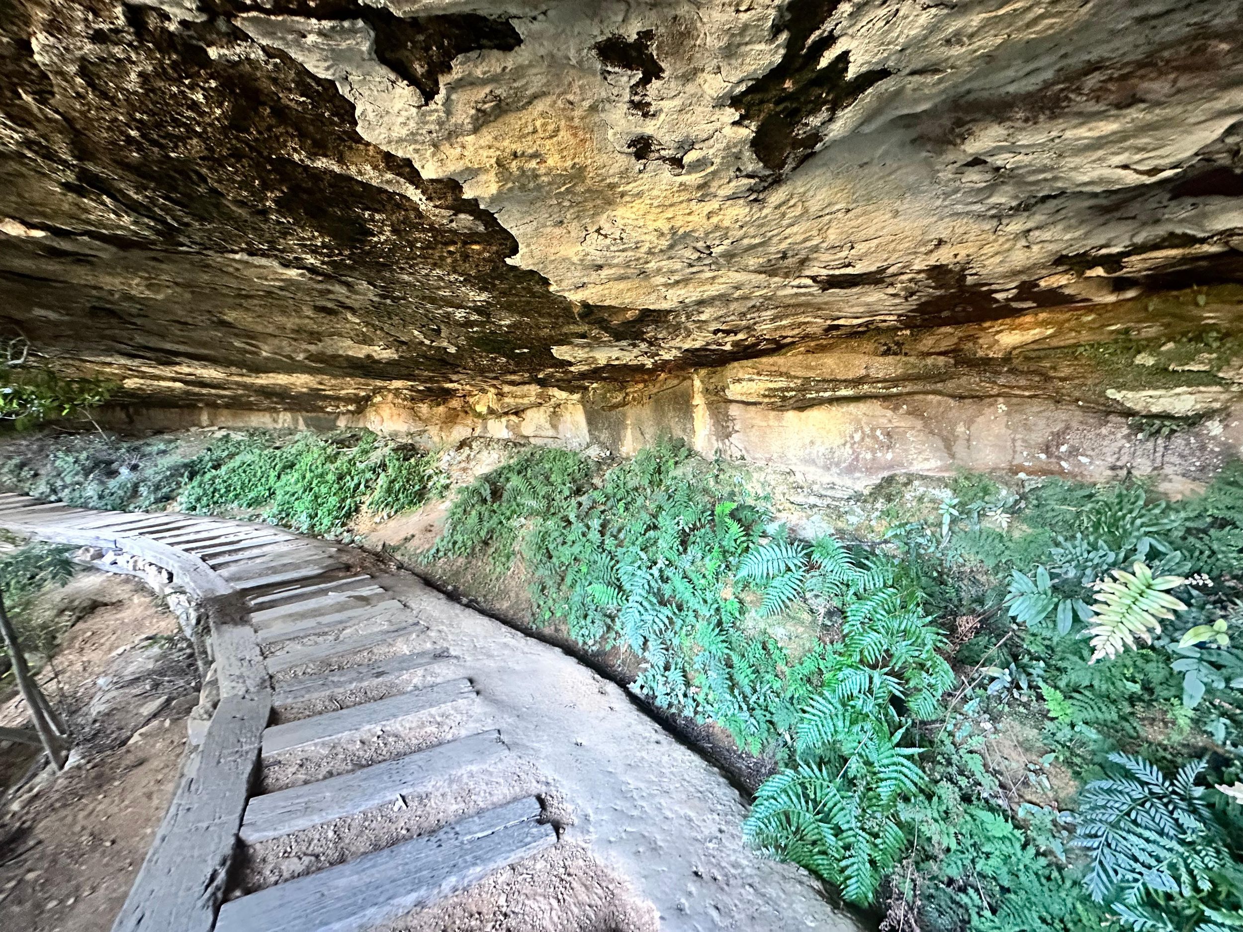 Blue Mountains: Geführte Wanderung über und unter den Klippen