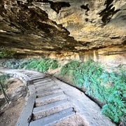Blue Mountains: Overcliff-Undercliff Guided Hike