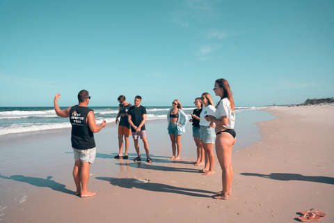 Dagsutflykt till Bribie Island från Brisbane