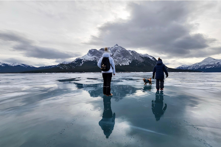 Athabasca Falls/Abraham,Sunwapta Falls, Icefield, Peyto Lake