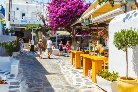 A Family Walking Adventure - Mykonos Town's Highlights