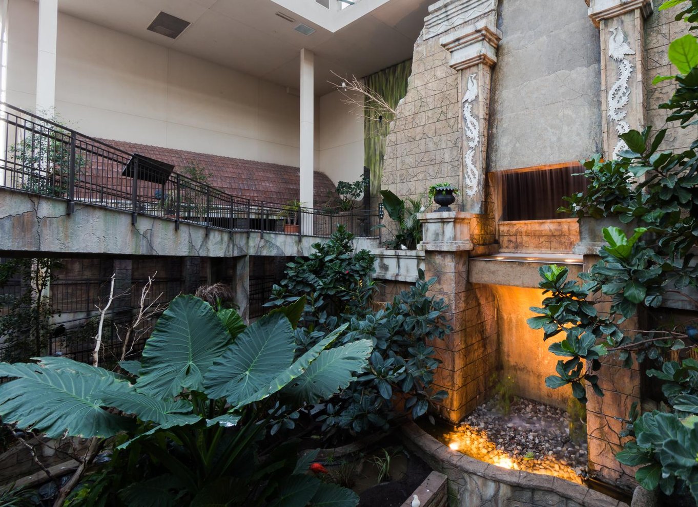 Niagara Falls, Canada: Bird Kingdom Entry Ticket