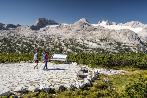 Dachstein Krippenstein: All-in-One Ticket