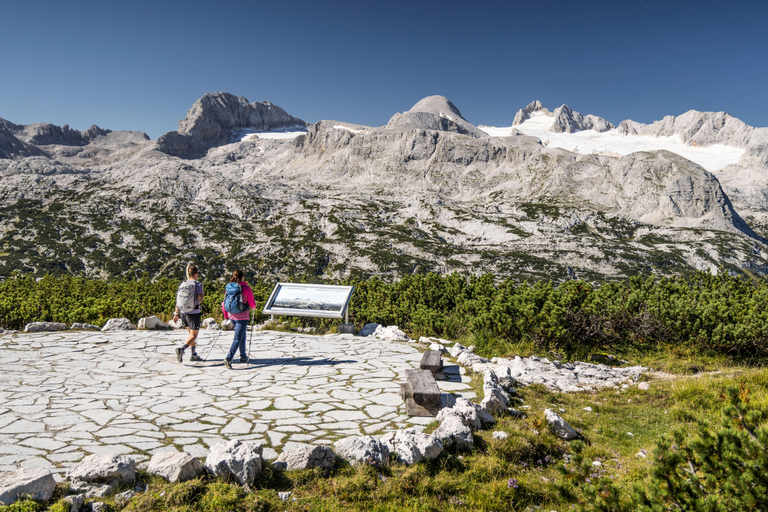 Dachstein Krippenstein: All-in-One Ticket