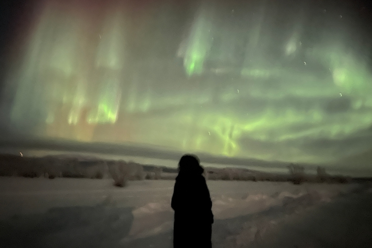 Excursion en minibus dans le parc national d'Abisko pour observer l'aurore boréale