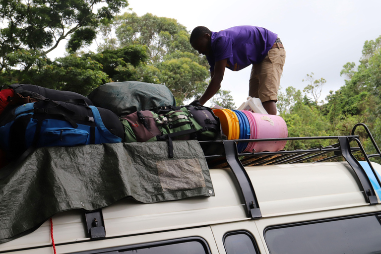 Kilimanjaro: Följ med på 6-dagars Kili Trip via Marangu Route