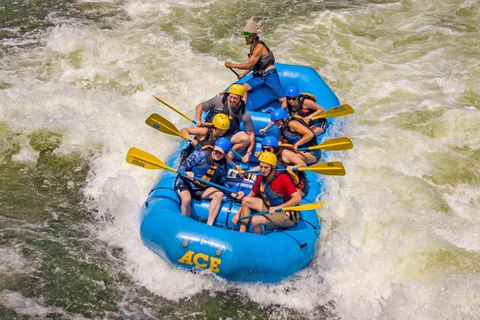 Kandy naar Kithulgala Wildwaterraften op de Kelani-rivier