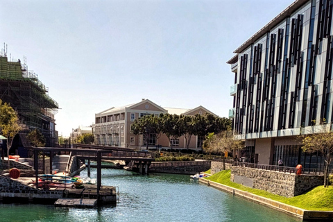 Paseo en bote a pedales por el V&amp;A Waterfront, Ciudad del Cabo