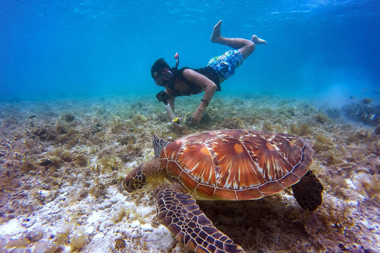 Lombok: 3-Spot Gili Snorkeling Tour with GoPro Documentation SHARED SNORKELING AT 3 GILI SPOTS