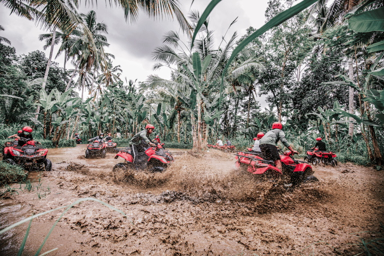 ATV Bali Gorilla Cave with Lunch at Cretya Sunset Single without transfers