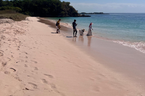 Lombok: pink beach snorkling trip with hotel pick up 2 Lombok: snorkling trip pink beach and explore pink beach