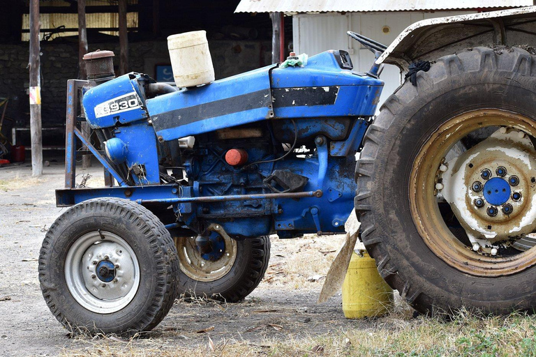 Nairobi: Maasai Ostrich Farm Tour with Lunch & Pickup
