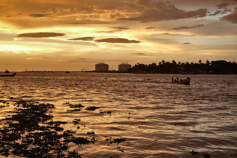 From Cochin: Alleppey Houseboat Day Tour with Lunch