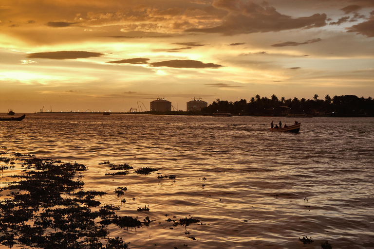 From Cochin: Alleppey Houseboat Day Tour with Lunch