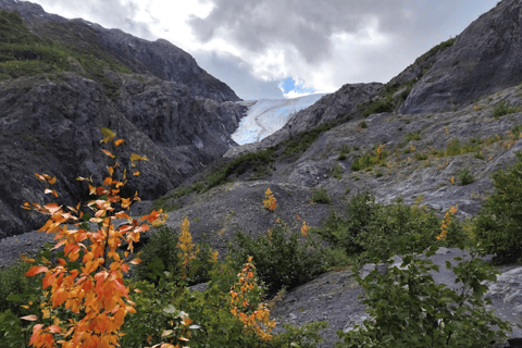 Seward: Exit Glacier Nature Hike with Scenic Views
