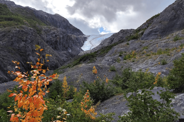 Seward: Exit Glacier Nature Hike with Scenic Views