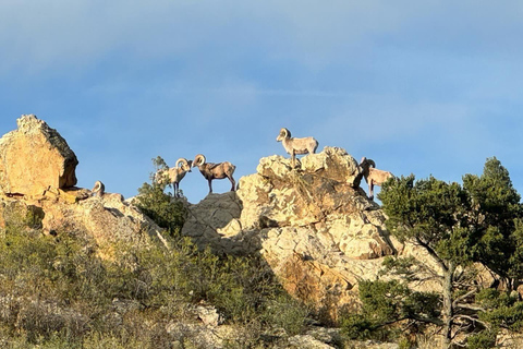 Colorado Springs: Garden of the Gods & Historic Town Tour