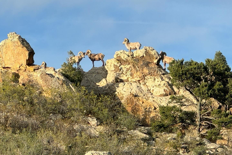 Colorado Springs: Garden of the Gods & Historic Town Tour