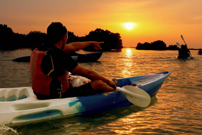 Al Khor: Kajakpaddling i mangroveskogen