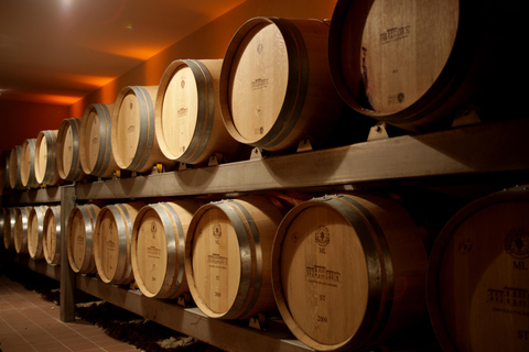 "Dans le Nez du Vin" tour – Aromas & Faults in Saint Emilion "Dans le Nez du Vin" tour – Aromas & Flaws in Saint Emilion