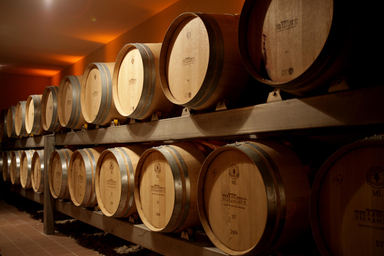 "Dans le Nez du Vin" tour – Aromas & Faults in Saint Emilion "Dans le Nez du Vin" tour – Aromas & Flaws in Saint Emilion