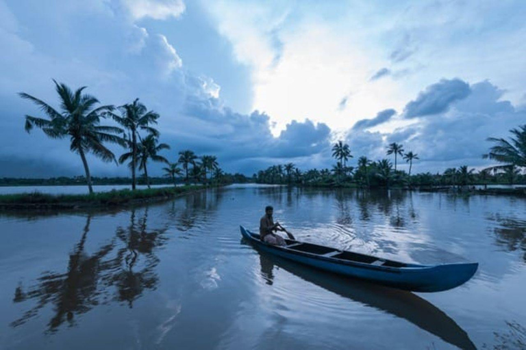 Cochin Backwaters Tour: Eco Boat Ride & Traditional Lunch