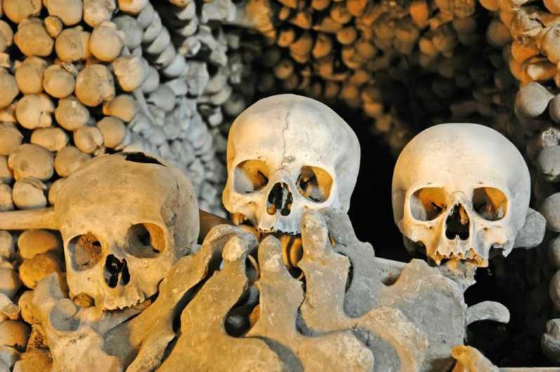 From Bones to Gods: Capuchin Crypt to Pantheon walking tour