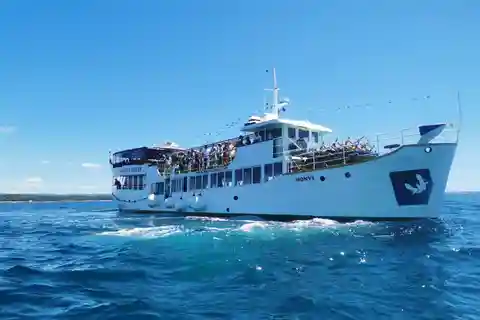 Poreč: Crociera al tramonto con cena e cocktail
