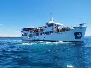 Poreč: Sunset Cruise with Dinner and cocktail