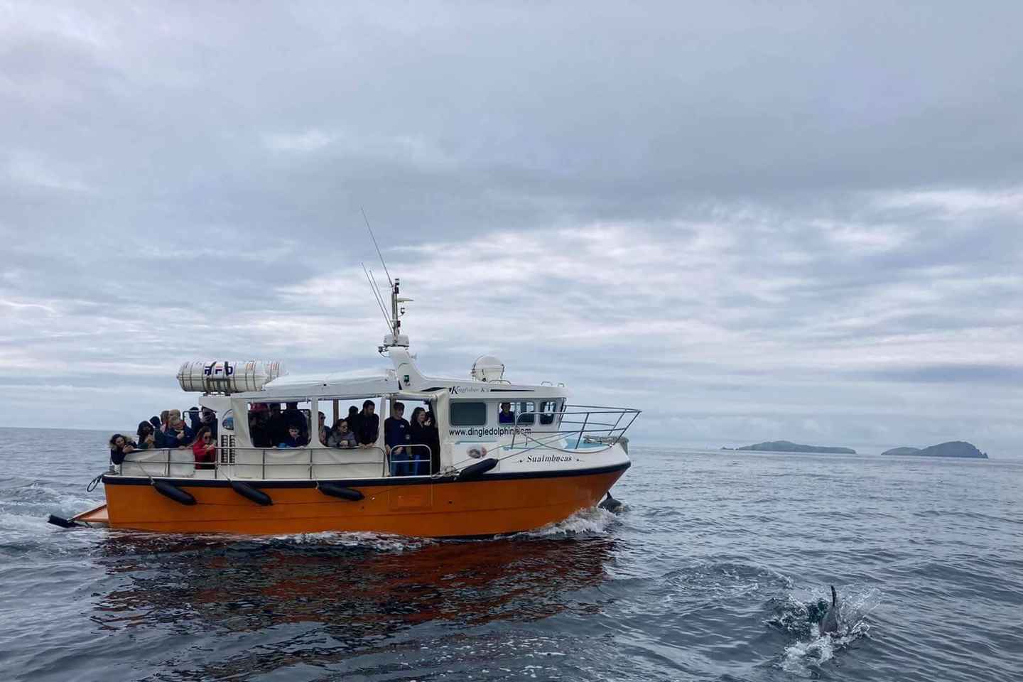 Dingle: Dingle Bay Cliffs Boat Tour with Guide (1 Hour)