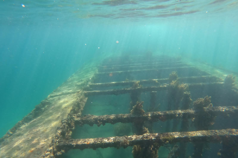 Guadalupa: Tour ecologico in barca a vela Ti-Bo in laguna