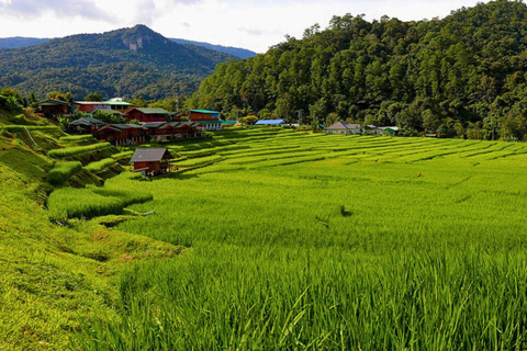 Chiang Mai: Parco nazionale di Doi Inthanon e trekking di Pha Dok Siew