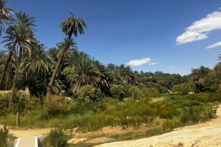 A partir de Djerba/Zarzis: Tesouros do Sul da Tunísia 3 diasDe Djerba/Zarzis: Tesouros do Sul da Tunísia, 3 dias