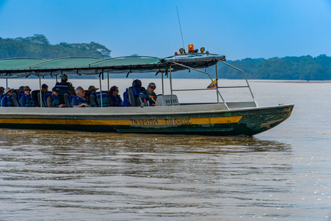 Amazon Adventure: 4 Days of Nature &amp; Culture from Quito