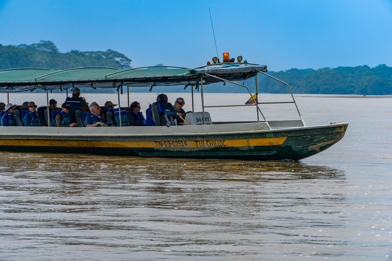 Amazon Adventure: 4 Days of Nature &amp; Culture from Quito