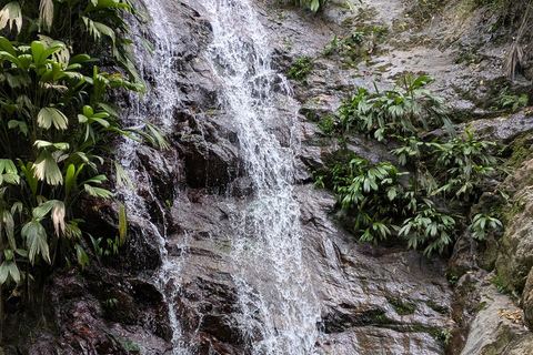 Minca: Hidden Waterfall Adventure and Artisanal Cocoa Workshop Waterfall + cocoa workshop + viewpoint - Departure from Minca