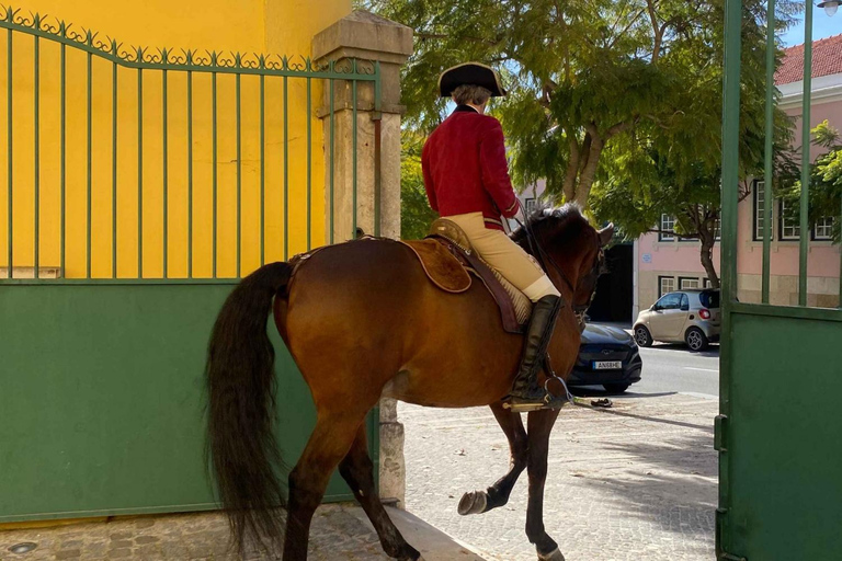 Lisbonne : L'école d'équitation portugaise s'entraîne avec un cheval lusitanien