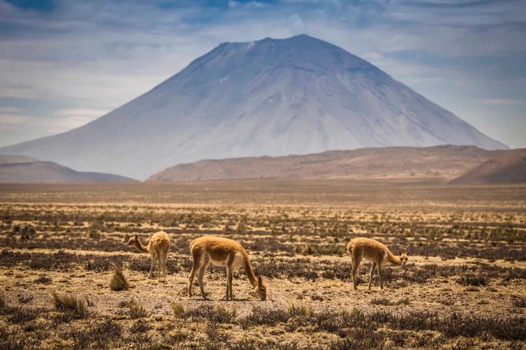 Expedición de 48 horas al Volcán Misti desde Arequipa