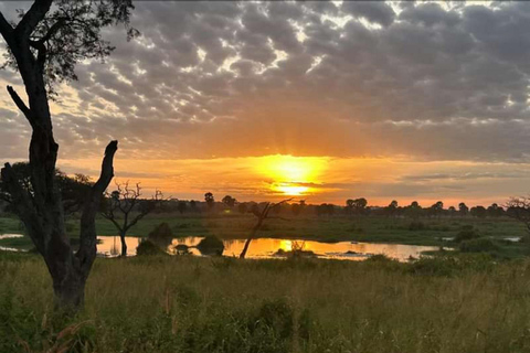 Uganda: Safári de 3 dias no Parque Nacional Murchison Falls e Big 5