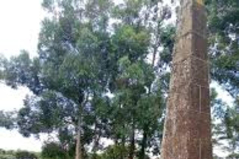 Nairobi: Karen Blixen Museum and Ngong Hills Tour