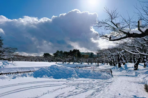 Sapporo: 4-Day Hakodate, Lake Toya, & Noboribetsu Tour